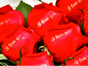Speaking Roses - лазерная печать на цветах. Недорогая альтернатива